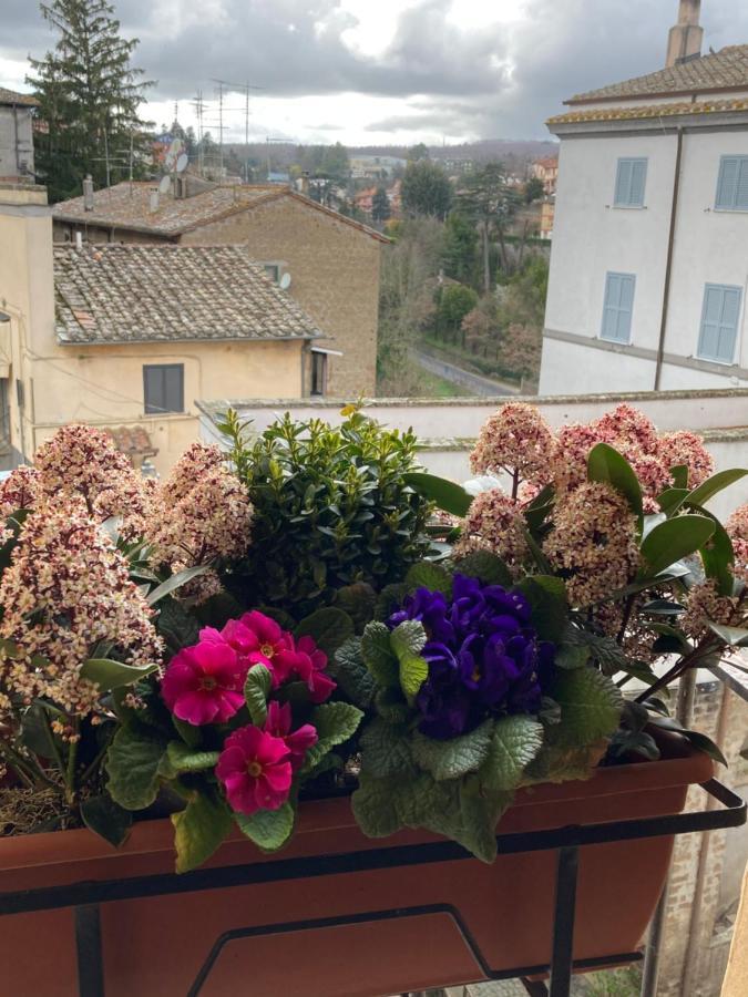 La Casetta Nel Granaio Capranica Dış mekan fotoğraf